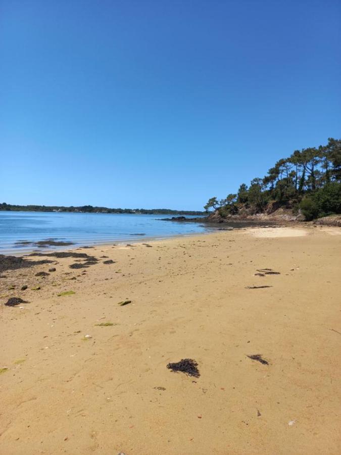 Tres Bel Appartement Avec Superbe Vue Sur Le Port De Saint Goustan Auray Ngoại thất bức ảnh